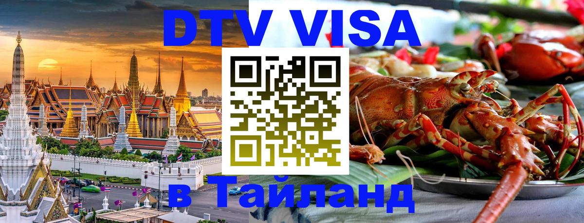 Оформление DTV визы под ключ: стоимость и тарифы, только загранпаспорт - Санкт-Петербург  19.11.2025 